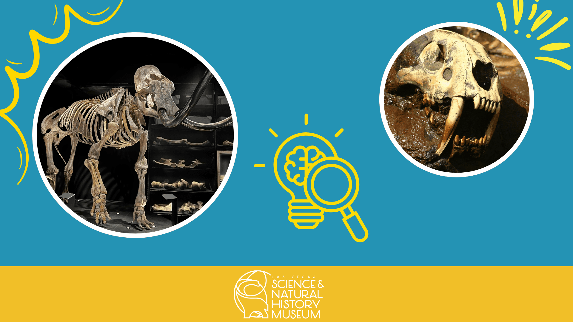Early Explorers: Measuring Monsters