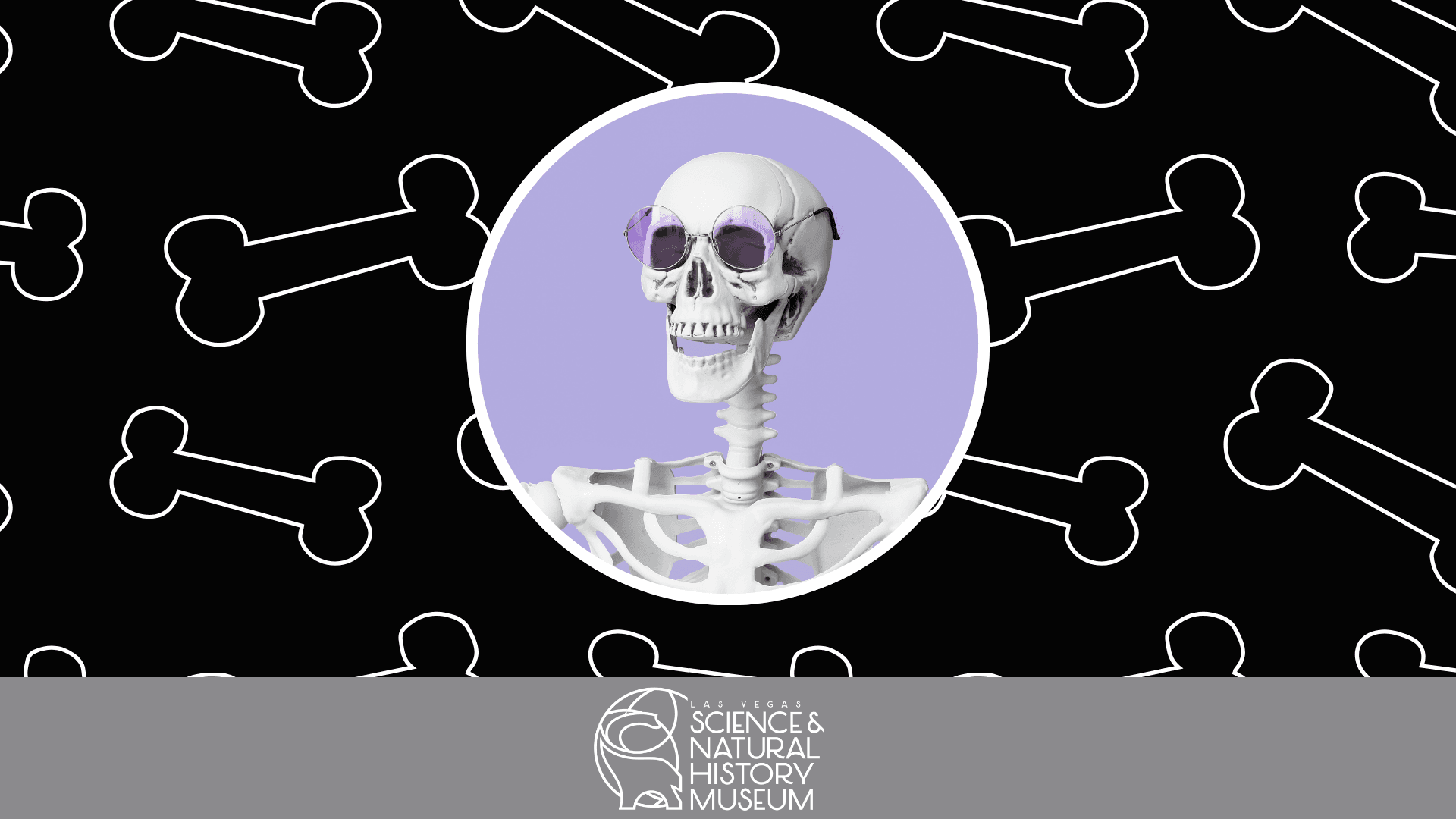 Skeleton Scavenger Hunt